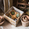 Square Cube Solid Wood Crates - RusticReach