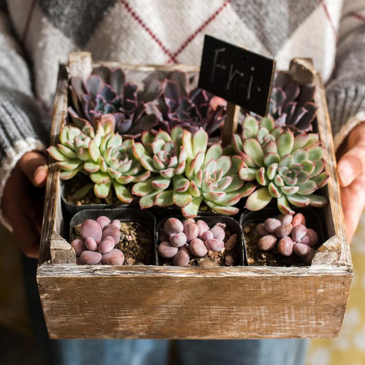 Square Solid Wood Table Box Set of 3 - RusticReach
