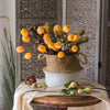 Straw Basket Pop Up Belly Basket - RusticReach