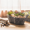 Willow Planter 'Cuisine' Hanging Flower Planter (Set of 2) - RusticReach